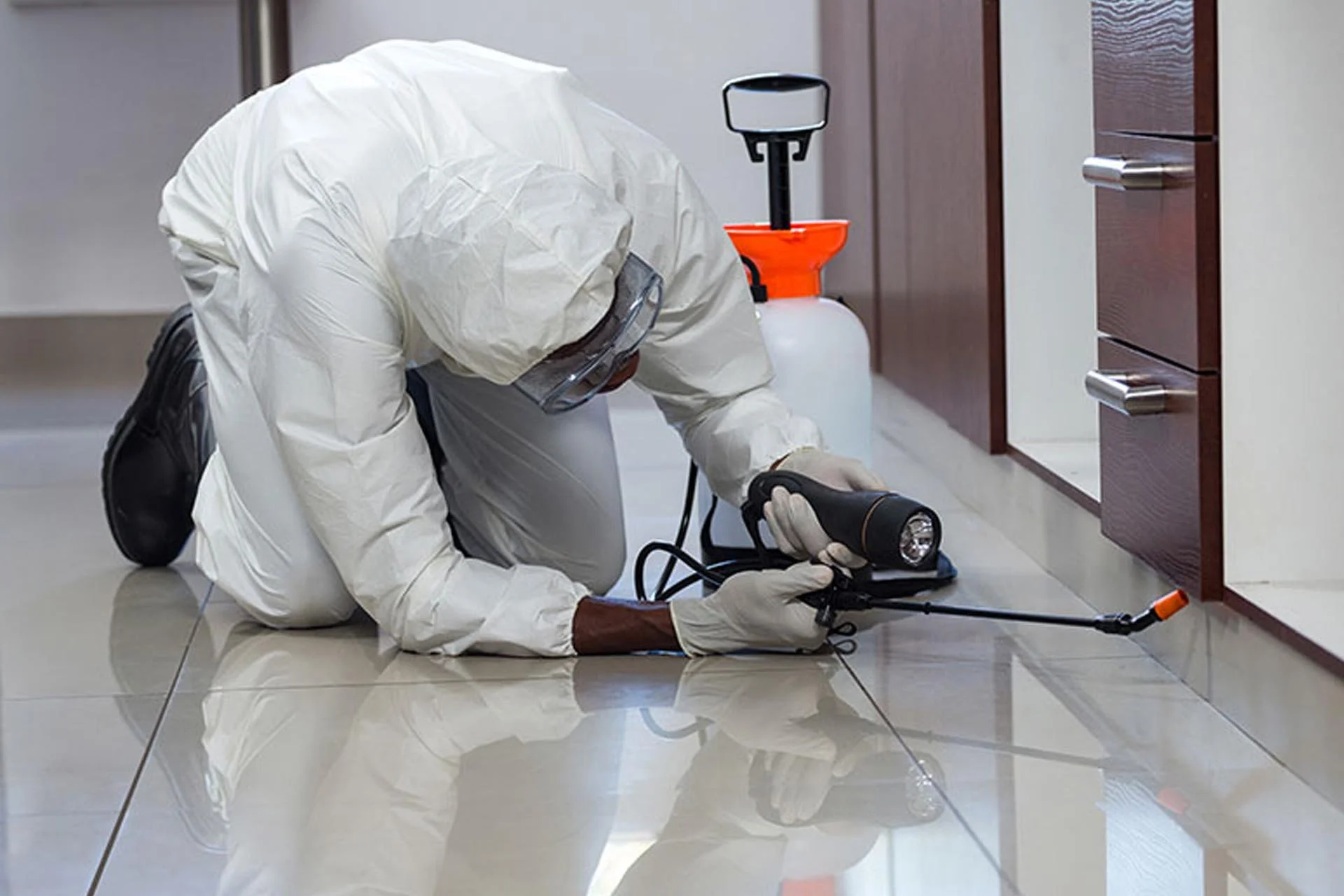 General Pest Control - Reclaim Pest Control NYC